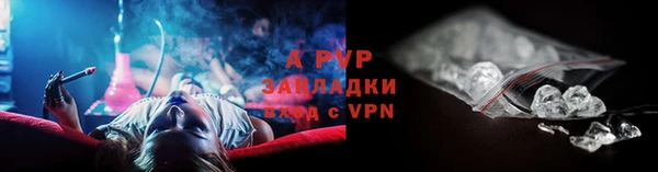 прущие крисы Алзамай