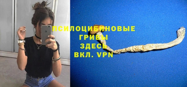 прущие крисы Алзамай