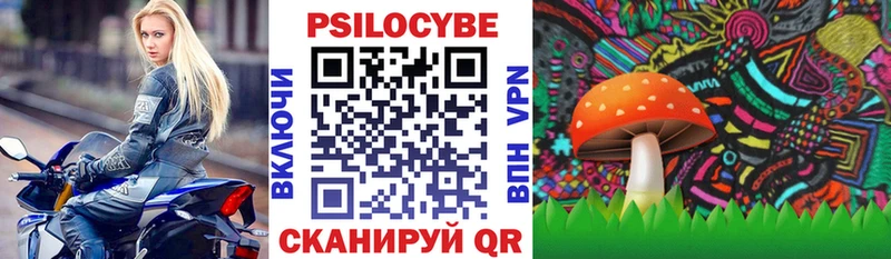 купить наркотик Старый Оскол Галлюциногенные грибы Magic Shrooms