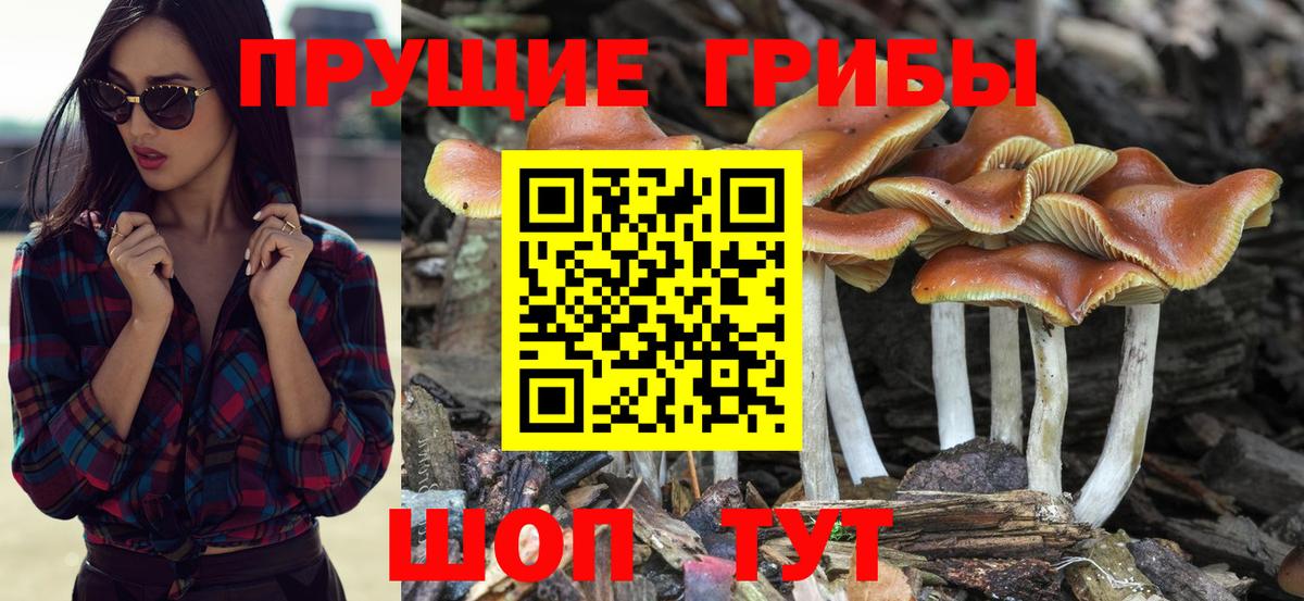 Галлюциногенные грибы MAGIC MUSHROOMS Старый Оскол