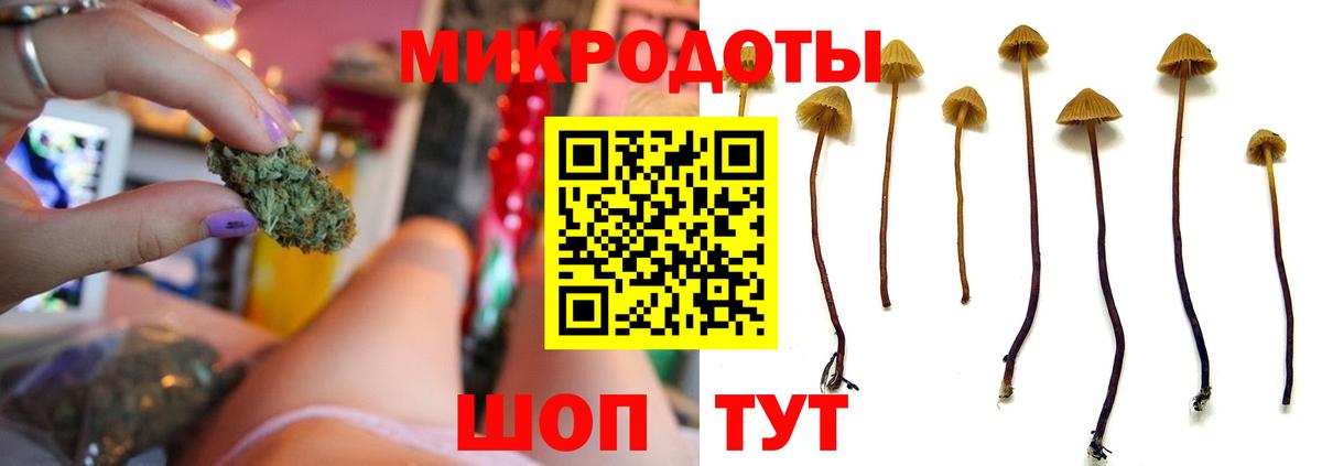Старый Оскол  Галлюциногенные грибы Psilocybe  Вход с VPN  Псилоцибиновые грибы Psilocybine cubensis 
